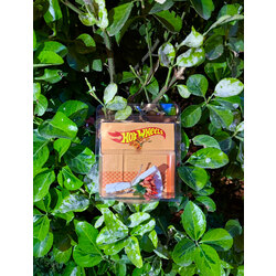 HOT WHEELS Cipso Tasarım (Somon)