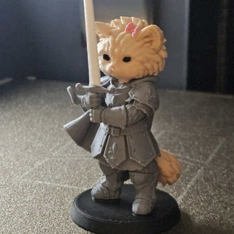 Knight Cat