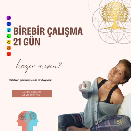 Birebir 3 Haftalık Arınma Programı 