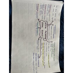 Klinik Psikoloji Notları