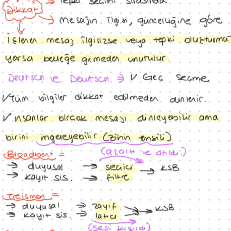 Bilişsel Final Notları