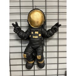 SİYAH ASTRONOT 