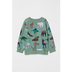 HM safari yesil erkek bebek çocuk Sweatshirt