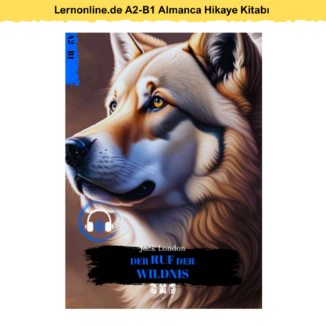 Lernonline.de A2-B1 Almanca Hikaye Kitabı - Der Ruf Der Wildnis