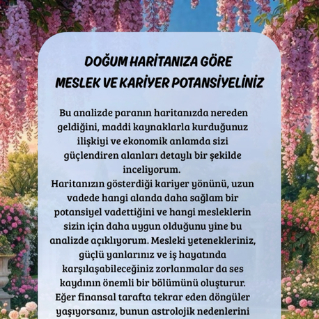 meslek ve kariyer potansiyeliniz