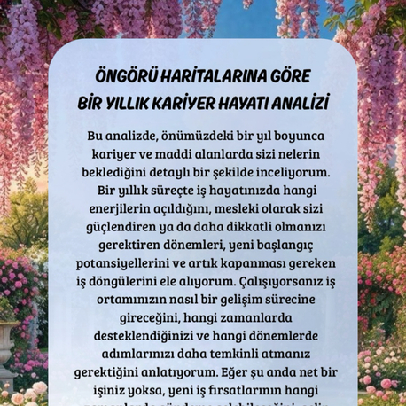 1 yıllık kariyer analizi