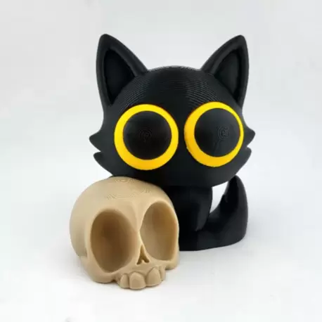 Kuru Kafa ve Kedi