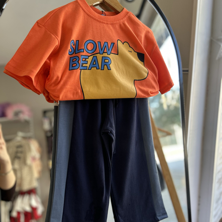 Slow bear takım