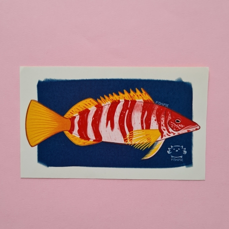 yazmalı hani balığı sticker