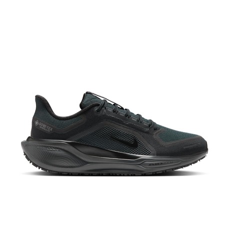 Nike Pegasus Air Zoom Goretex 41GTX
