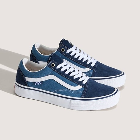 Vans Skate Blue