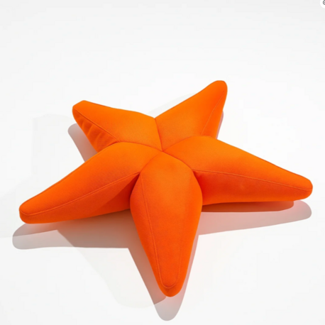 Starfish Havuz, Deniz Ve Dış Mekan Pufu / Turuncu