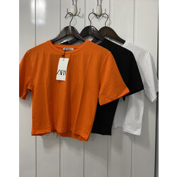 Zara Basic Crop