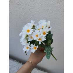 Papatya Demeti
