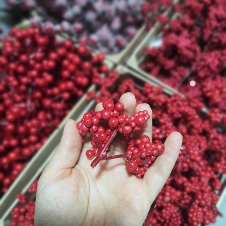 Berry Meyvesi 10 Adet 