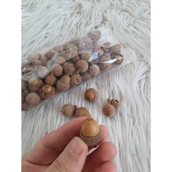 Meşe Palamutu 50'li Paket