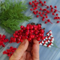 Berry Meyvesi 10 adet