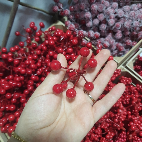 Kızılcık Yemis 10 Adet
