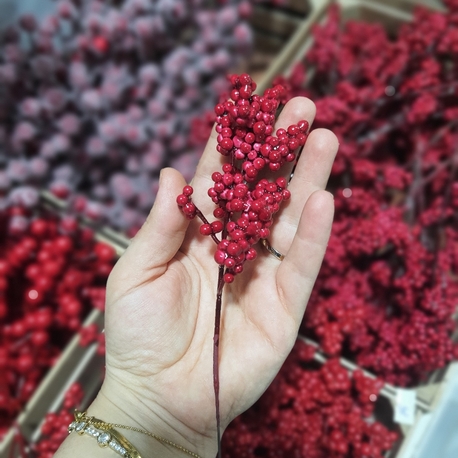 Berry Dalı 10 Adet