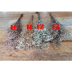 Şoklu  Cipso 50 gr