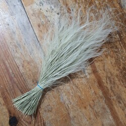 Tılsım Otu 40 cm Naturel