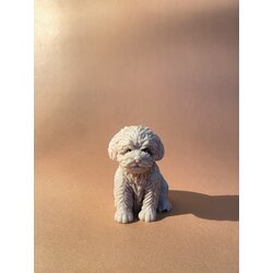 Teriyer Köpek