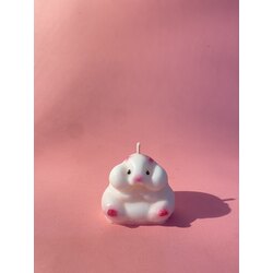 Beyaz Hamster