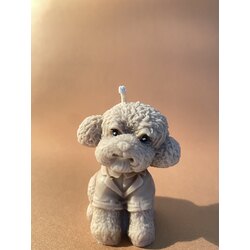 Poodle Köpek