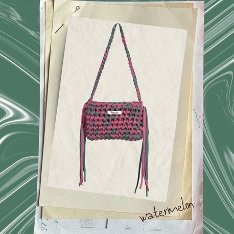 Watermelon Mini Bag