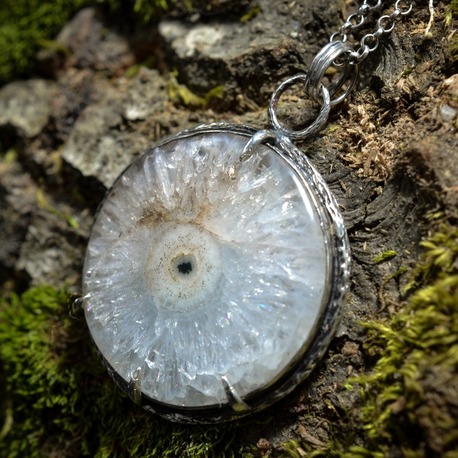 Predator's Eye