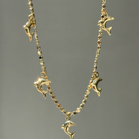 Çelik 14k Pul Zincirli Yunus Charm Kolye | Gold