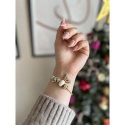 Gold Rainbow Çelik Pandora