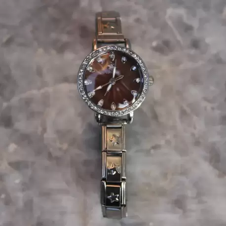 Çelik Silver Yuvarlak Taşlı Star Nomi Charm Kadın Saat