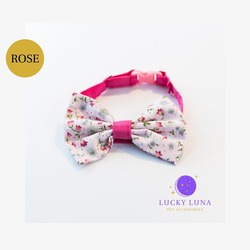 ROSE - S/M