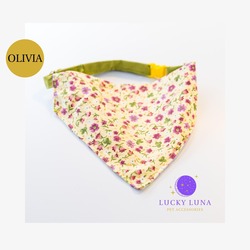 OLIVIA - S/M