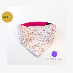 ROSE - S/M