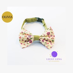 OLIVIA - S/M