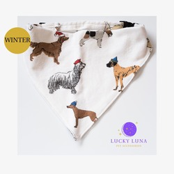 WINTER - L/XL