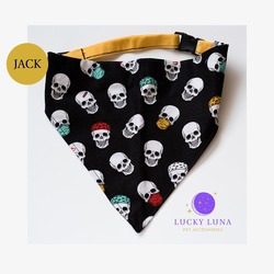 JACK - L/XL
