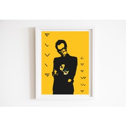 Elvis Costello