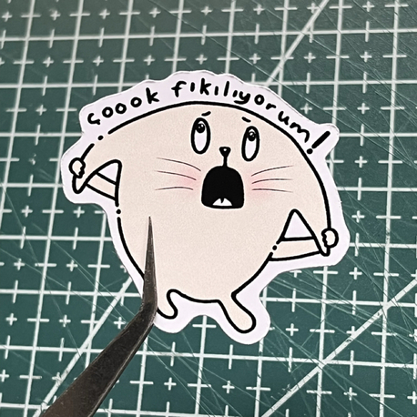 Lülüş sıkıldı TS011