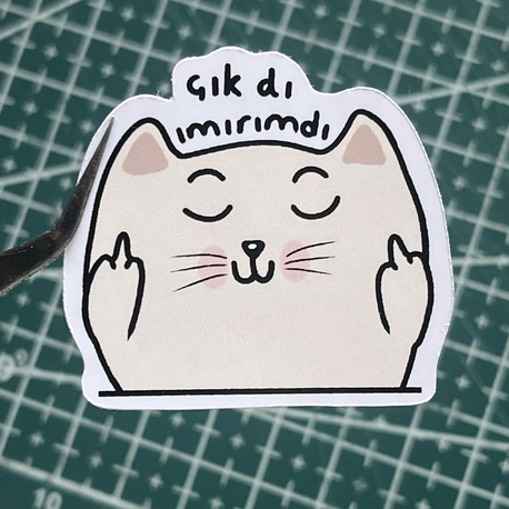 Umurum dışı TS009