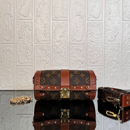 Louis Vuitton Papillon Trunk  
