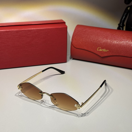Cartier Unisex Güneş Gözlüğü CTR93