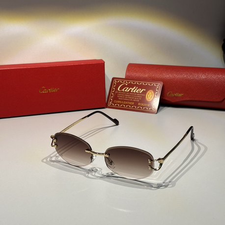 Cartier Unisex Güneş Gözlüğü CTR102