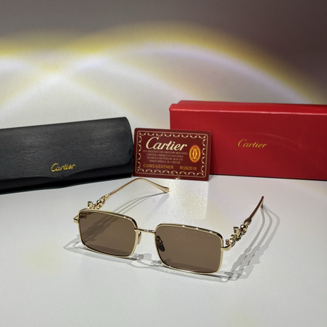 Cartier Güneş Gözlüğü CTR116
