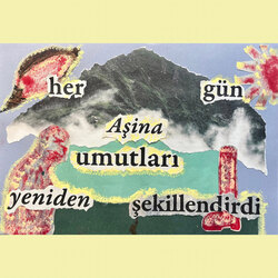 ‘Aşina’ 2024