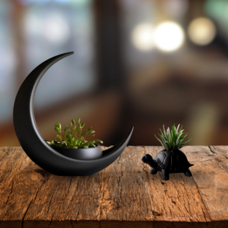 Ay ve Kaplumbağa Saksı Seti - Modern Dekoratif 3D Tasarım 2’li Mini Saksı (Bitkisiz)