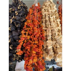 Kurutulmuş Dolma Biber  (Yeni sezon)