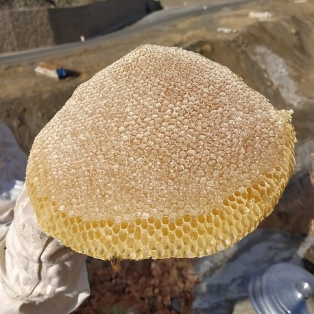 Malatya Kaya Balı 500 Gr